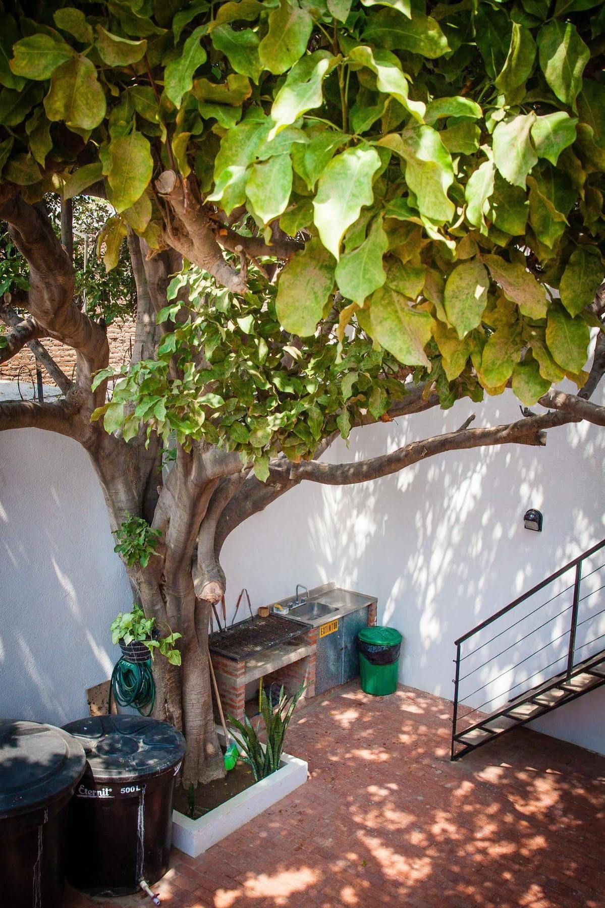 Ocean Lovers Hostel & Apartments Taganga Buitenkant foto